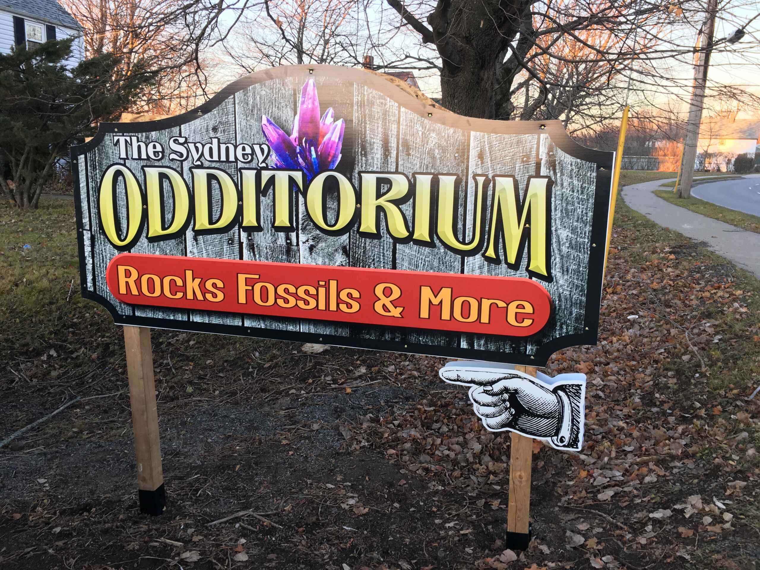 The Sydney Odditorium – Rocks Fossils & More