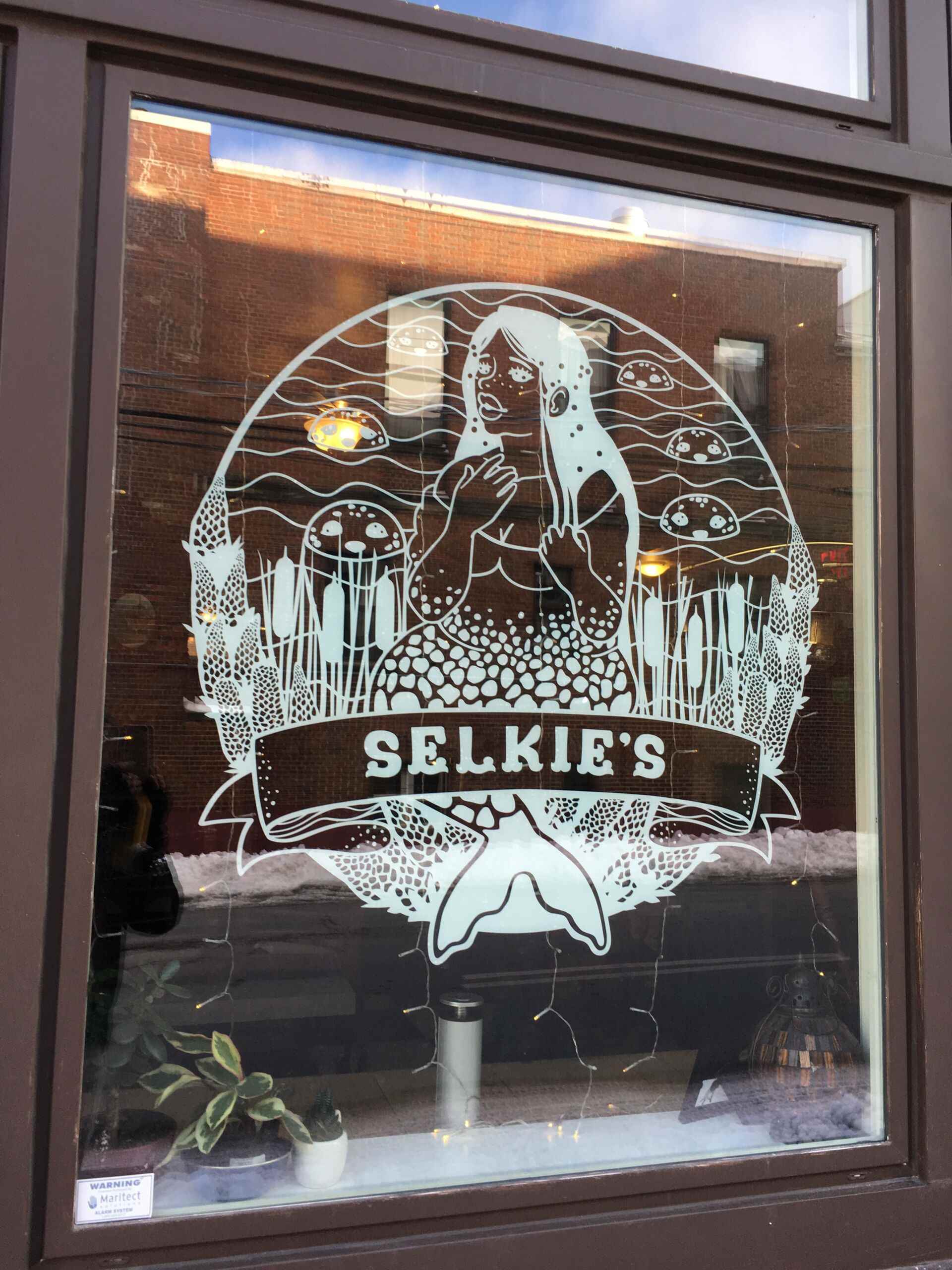 Selkie’s